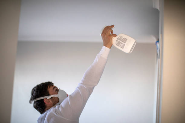 Best Attic Mold Removal  in Schuyler, NE