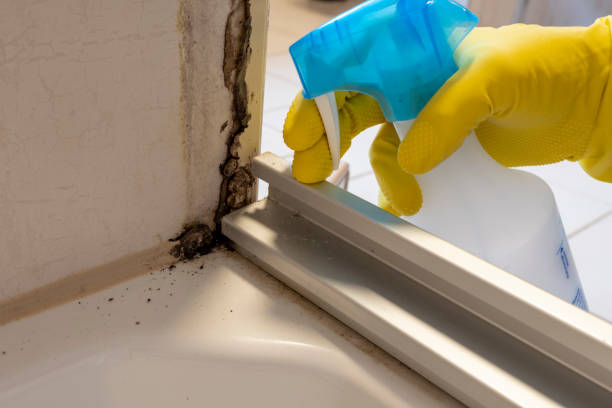Best Toxic Mold Removal  in Schuyler, NE